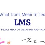 LMS Meaning in Texting: What People Mean on Instagram and Snapchat