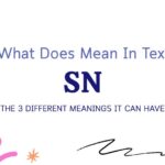 SN Meaning in Text: The 3 Different Meanings It Can Have