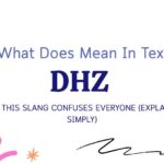 DHZ Meaning in Text: Why This Slang Confuses Everyone (Explained Simply)