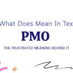 PMO Meaning in Text: The Frustrated Meaning Behind It