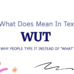 WUT Meaning in Text: Why People Type It Instead of "What"