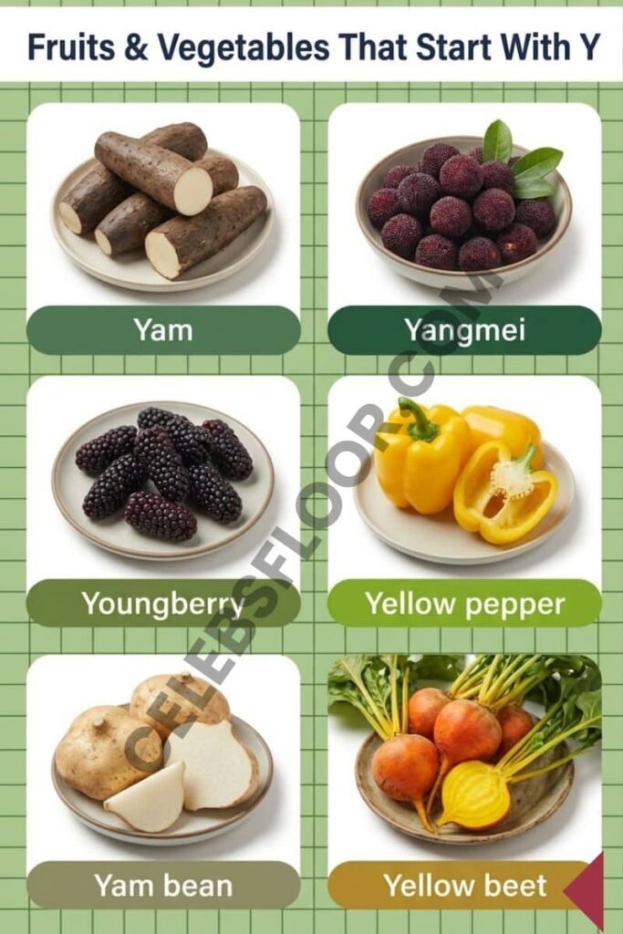 Fruits & Vegetables That Start With Y